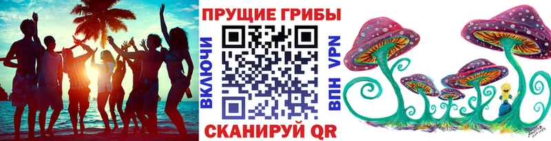 закладки  Тюкалинск  Галлюциногенные грибы Magic Shrooms 